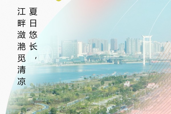 廿四节气|夏至（2024）