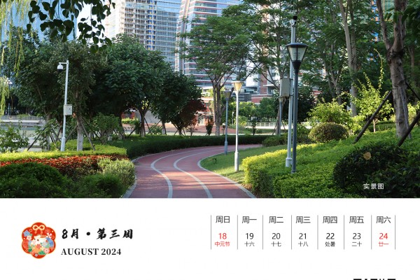 八月|第三周（2024）
