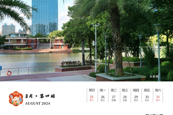 8月|第四周（2024）
