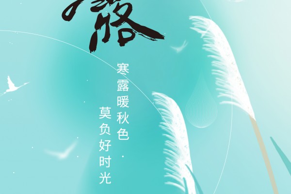 廿四节气|寒露（2024）