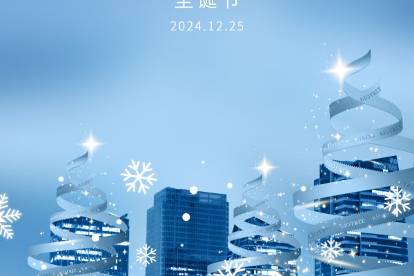 圣·诞·节（2024）
