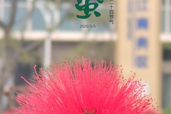 廿四节气|惊蛰（2025）