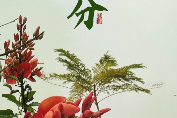 廿四节气|春分（2025）