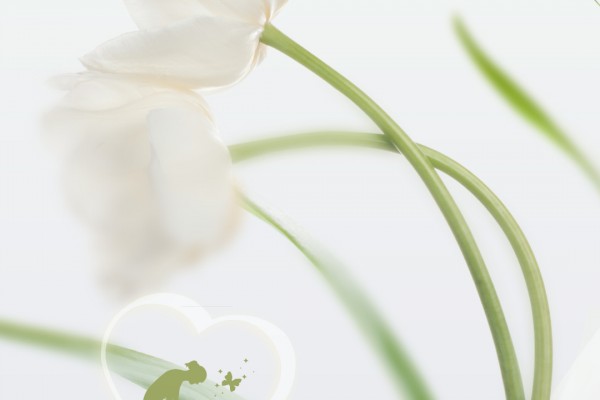 母亲节|她的爱·定格时光