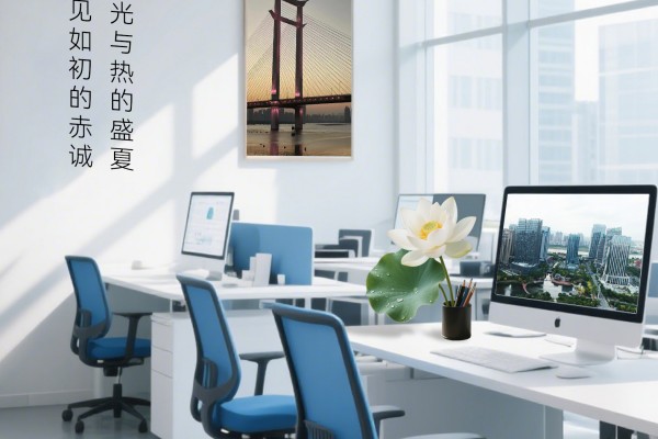 廿四节气|大暑（2025）