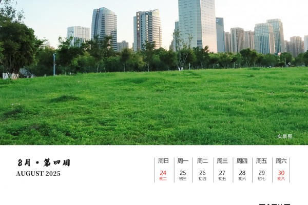 八月|第四周（2025）
