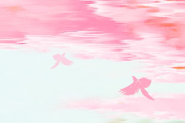 七夕|为爱企安家