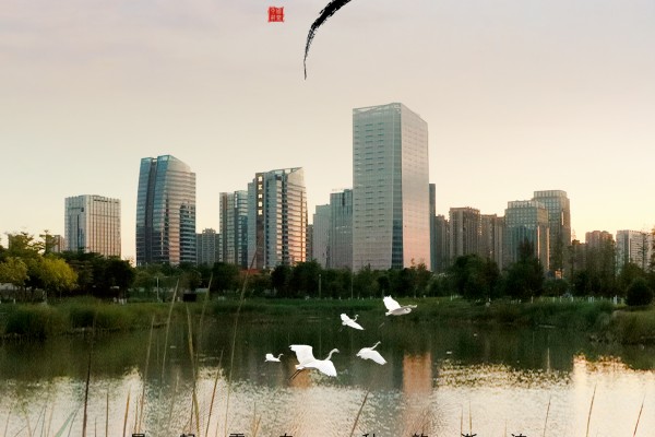 廿四节气|白露（2025）