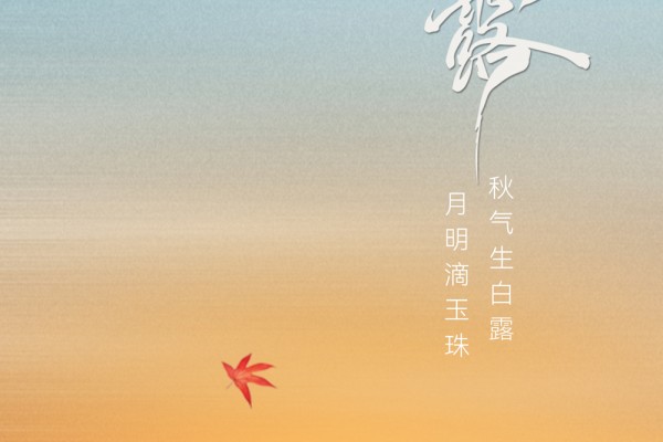廿四节气|寒露（2025）