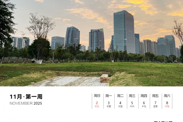 十一月|第一周（2025）
