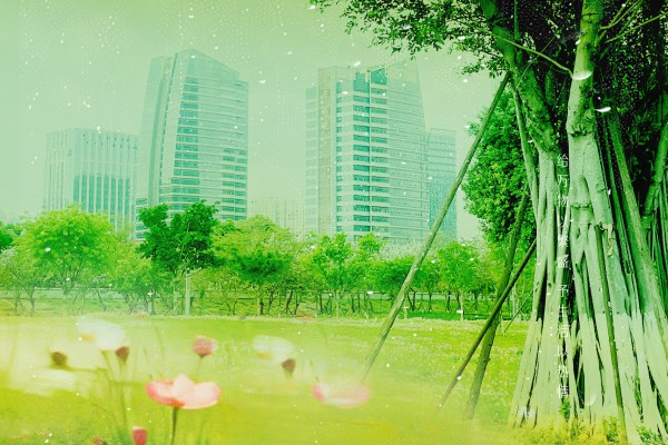 廿四节气|立夏（2026）